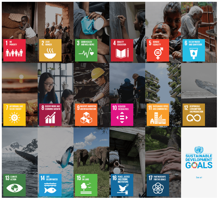 Global Rwanda Chamber's Commitment to the United Nations’ 17 Sustainable Development Goals (SDGs)